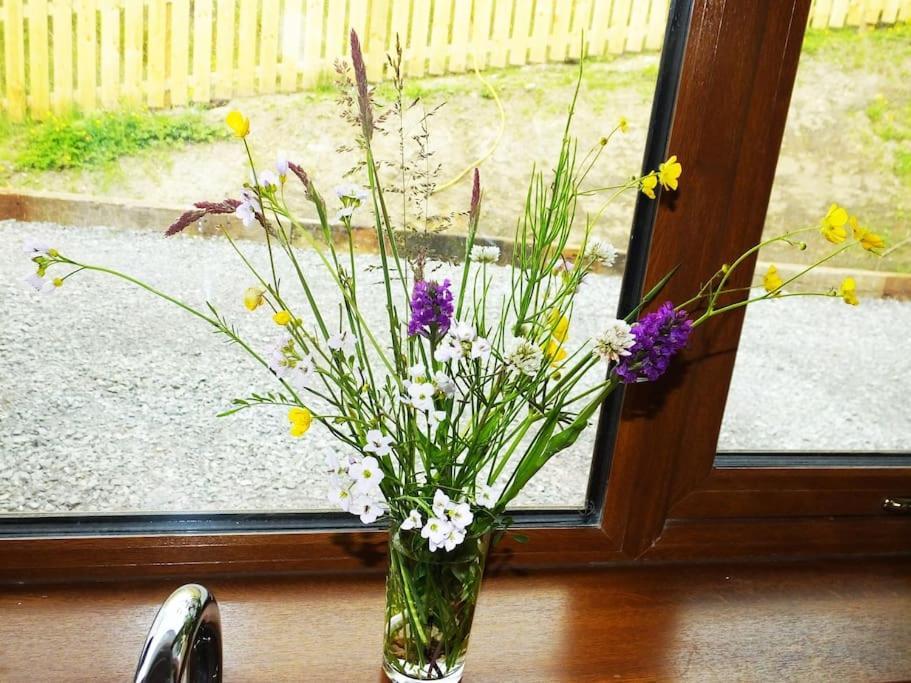 The Cosy Farm Cottage, Donegal Inver Kültér fotó